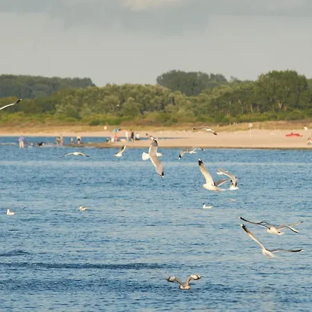 Hafennah Moba-travel *