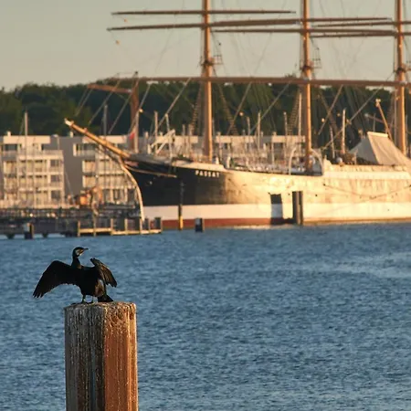 Hafennah Moba-travel